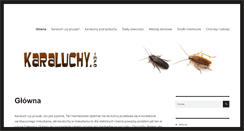 Desktop Screenshot of karaluchy.info