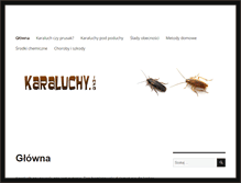 Tablet Screenshot of karaluchy.info